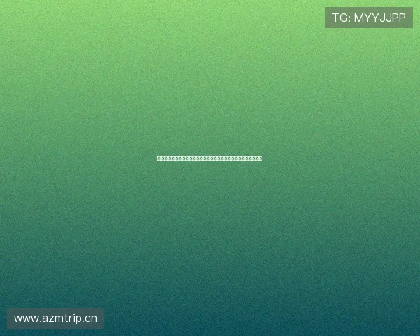 鲸鱼体育在线直播免费观看高清畅享全球赛事实时解说流畅观赛体验